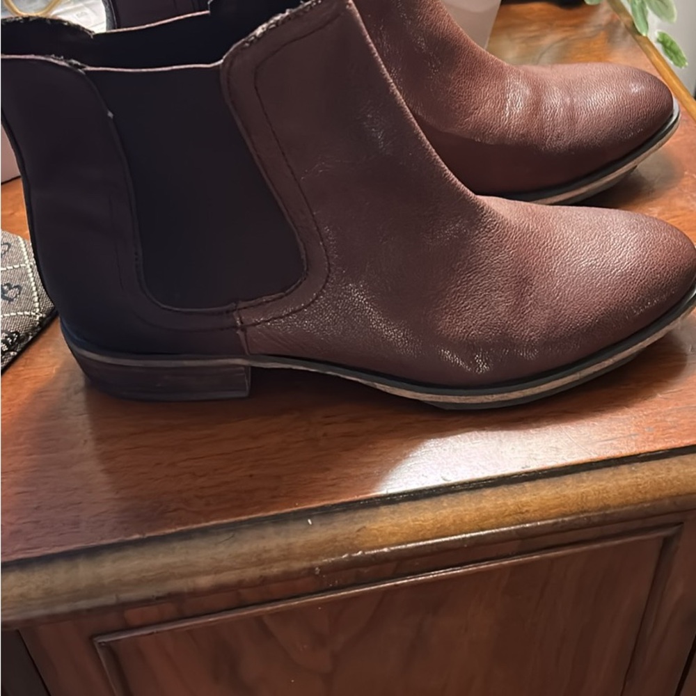 Arturo Chiang Dark Brown Ankle Booties
